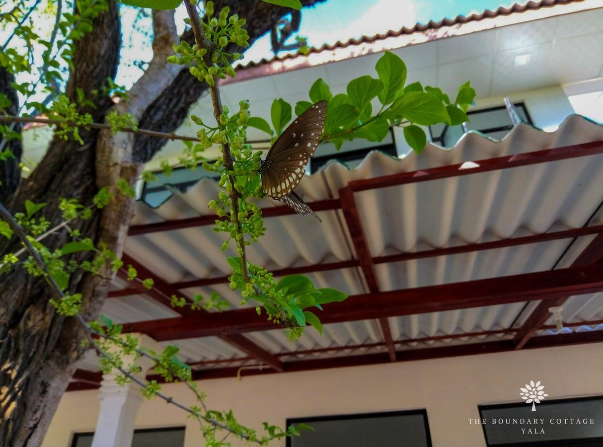 The Boundary Yala Hotel Катарагама Екстериор снимка