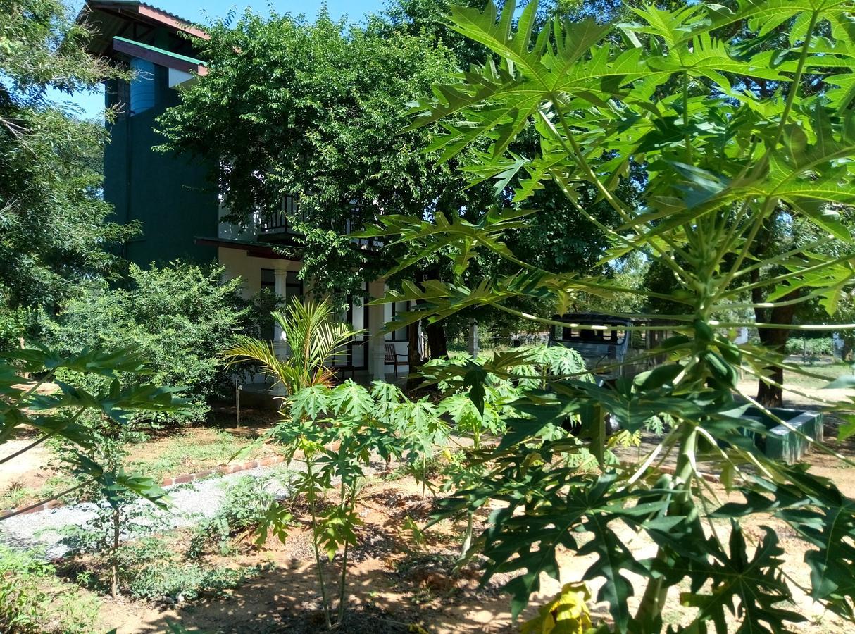 The Boundary Yala Hotel Катарагама Екстериор снимка